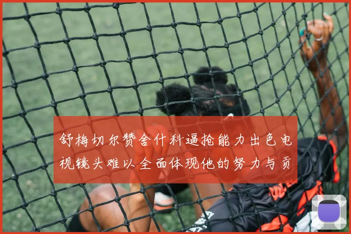 舒梅切尔赞舍什科逼抢能力出色电视镜头难以全面体现他的努力与贡献