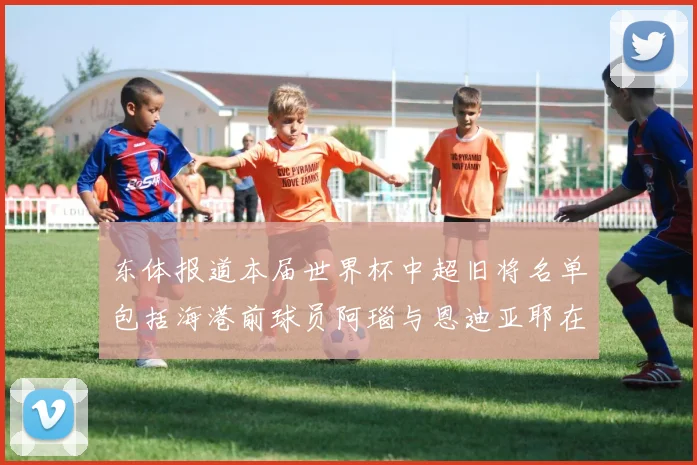 东体报道本届世界杯中超旧将名单包括海港前球员阿瑙与恩迪亚耶在内的10位球员
